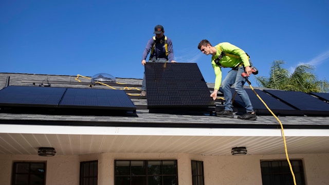 Bird Proofing Your Solar Panels: Why It’s Essential for Homeowners